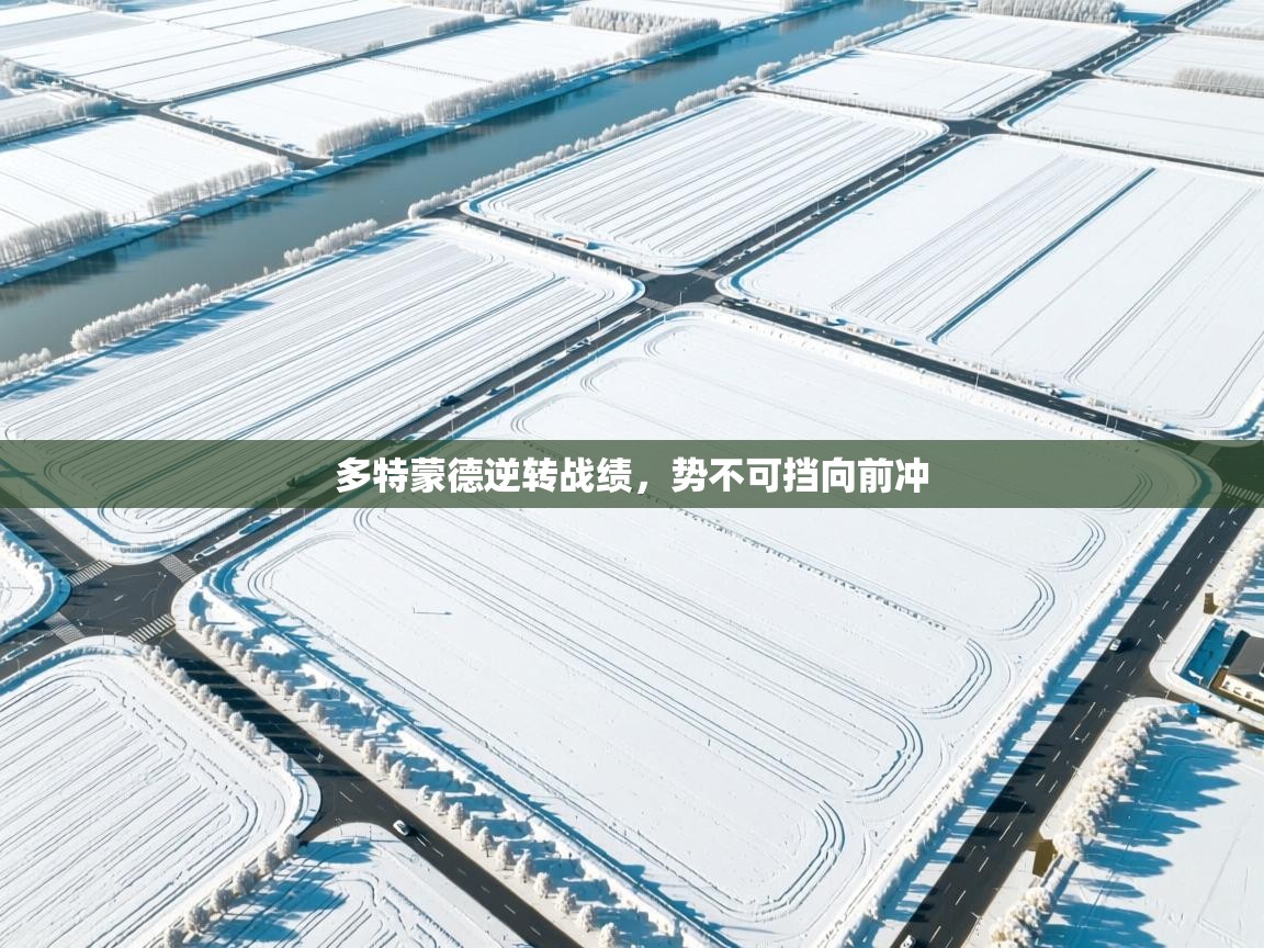 多特蒙德逆转战绩,势不可挡向前冲 第2张